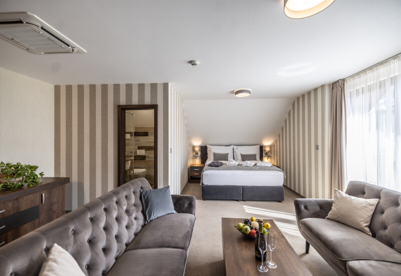 Prezidentská suita s balkónom Hotel Demänová