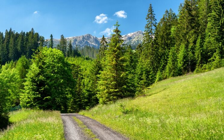 low-tatras-mountains-from-janska-valley-slovakia