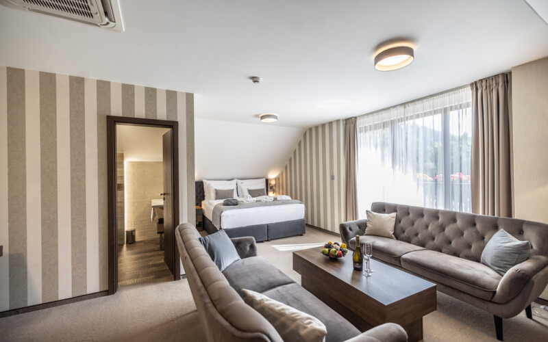 Prezidentská suita s balkónom Hotel Demänová